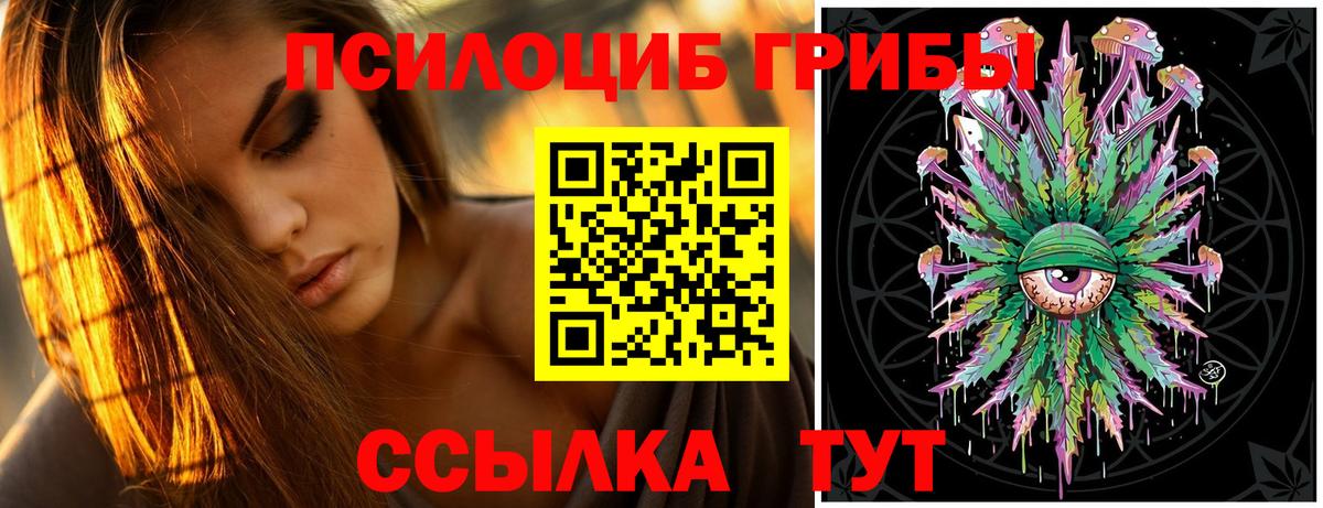 как найти   Вход с VPN  Югорск  Галлюциногенные грибы Cubensis 